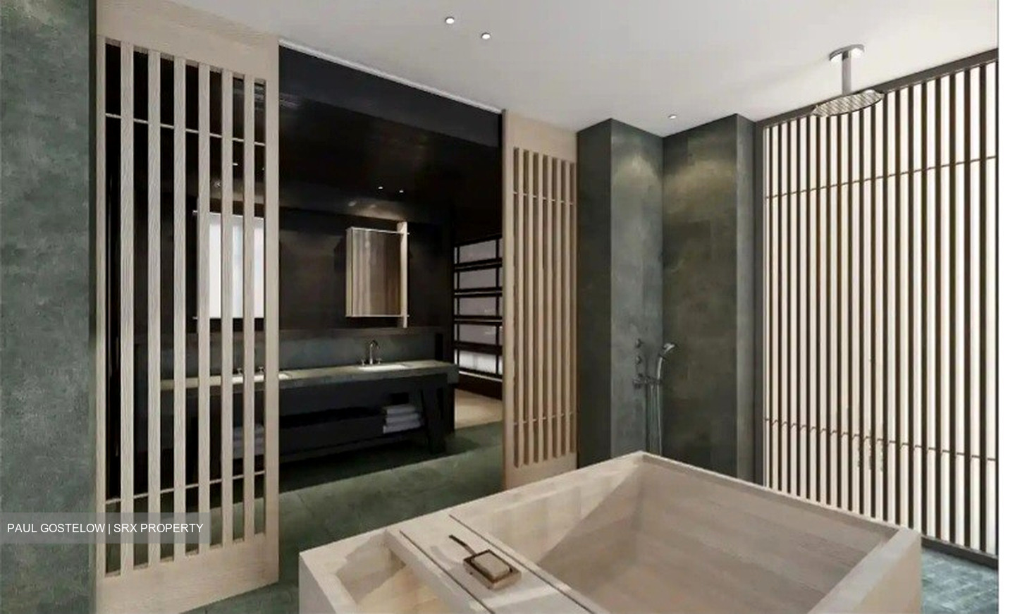 21 Anderson (D10), Condominium #496692751